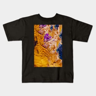 Gold and Purple Kids T-Shirt